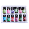 Essential Oils Starter Pack – 12 Pure Aromas for Every Mood