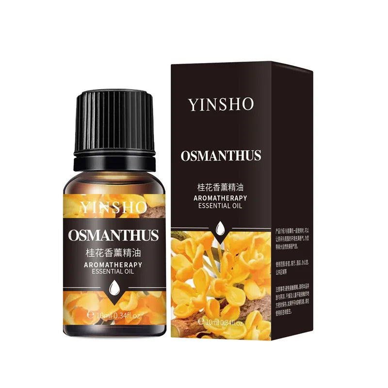 Premium Essential Oils Set – 17 Pure Aromas for Diffusers & Humidifiers
